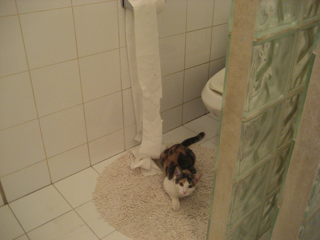 九游网游官网-拉科鲁尼亚主场-大胜赫罗纳，索里亚蒂进球，拉科鲁尼亚 球星