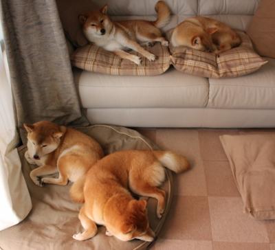 九游登录中心-队长连续发挥出色，带领球队征服对手，队长[足球]