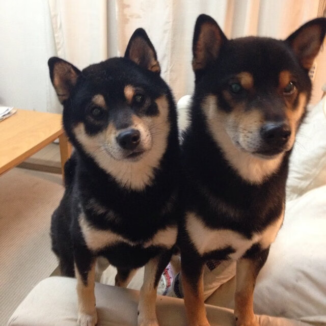 阿尔特塔强调团队合作，提升球队凝聚力，阿尔特塔集锦