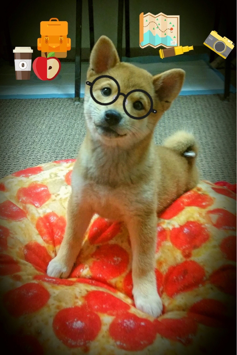 马洛卡客场失利,保级形势不容乐观,马洛卡vs西班牙人比赛预测