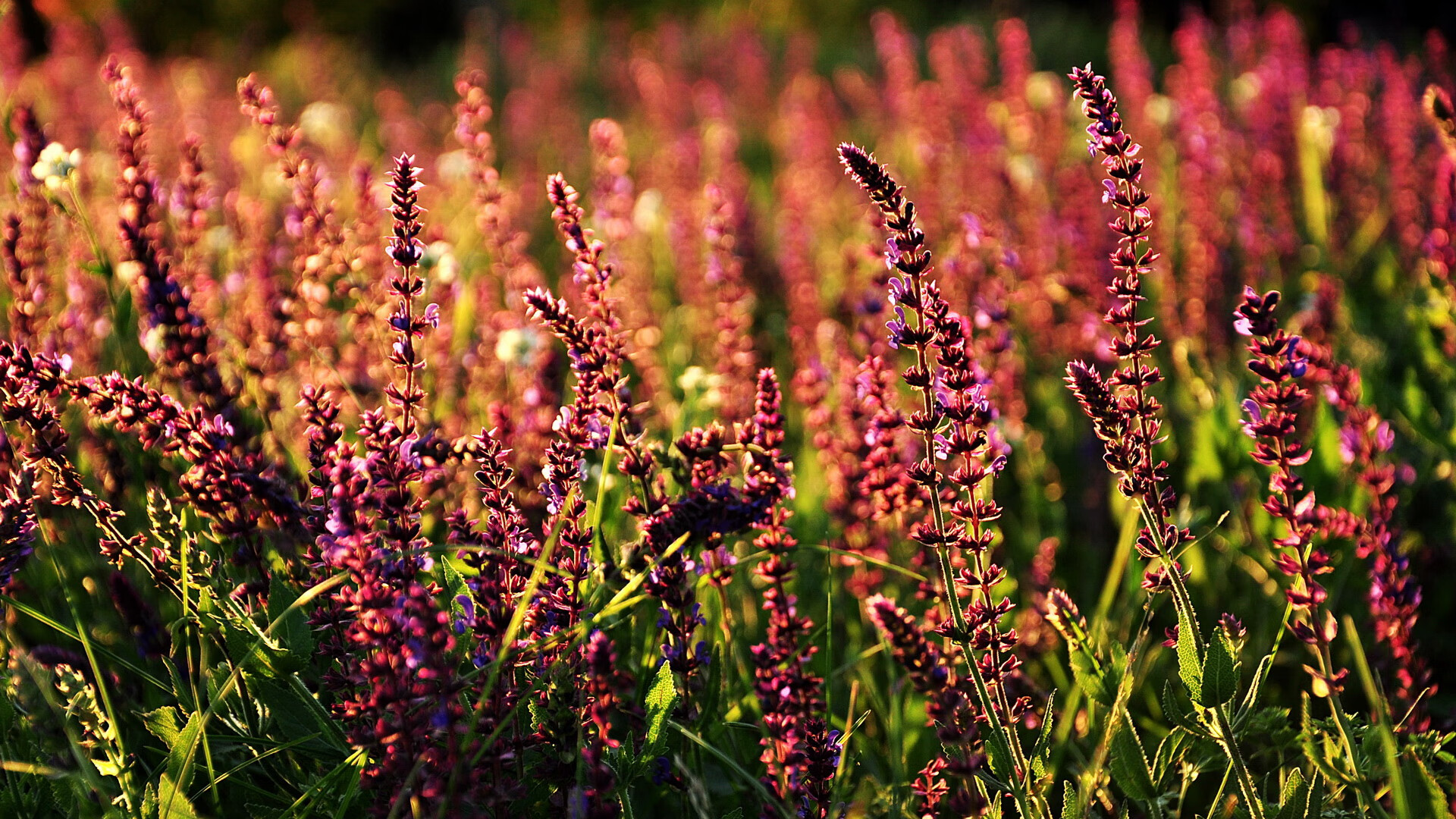 九游娱乐-韩国科技教育深度融合，关于韩国科技的问题