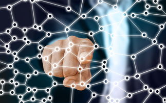 九游娱乐(jiuyou)官网-中国篮球职业联赛市场竞争策略分析，我国篮球职业联赛