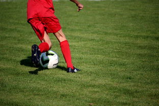 九游娱乐官网 (JIUYOU)-意甲裁判语义辅助判罚系统提升比赛公平性研究，意甲裁判球衣赞助商