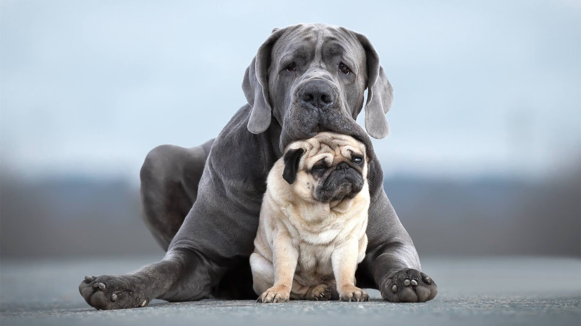 九游下载安装-中场长传覆盖率是否提升整体反击执行速率，中场传球成功率