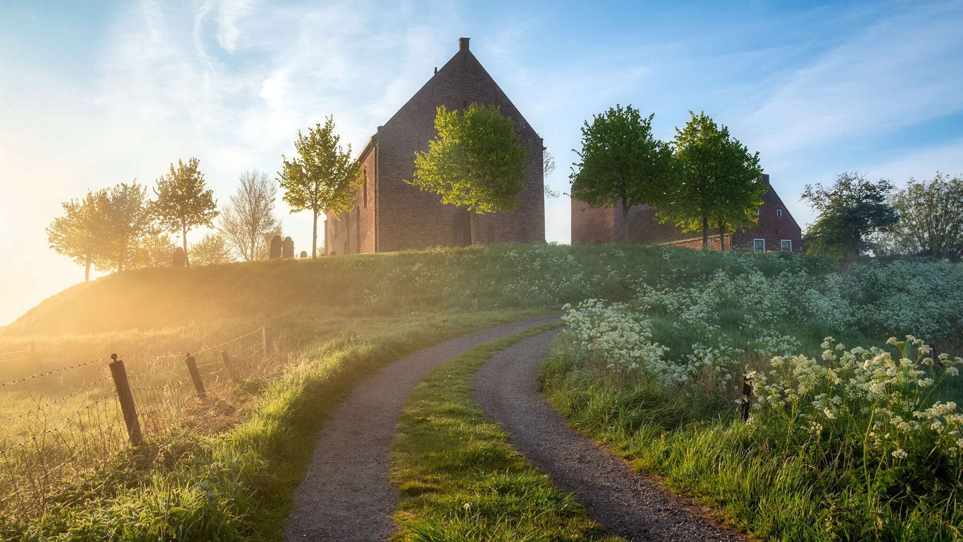 伊朗男篮在亚洲预赛中拼搏奋战，追逐奥运金牌梦想，伊朗男篮规划球员