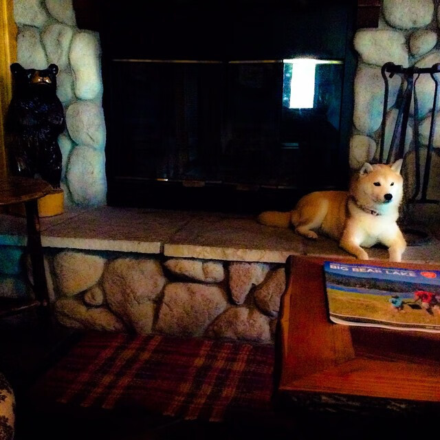 Jiuyou-混合泳接力吉尔吉斯斯坦团队协作显著，吉尔吉斯斯坦游泳运动员