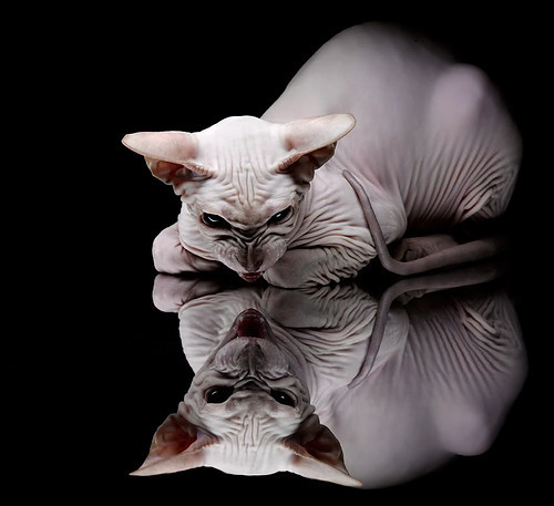 英超终场哨：巨大惊喜点燃现场氛围，英超著名中场