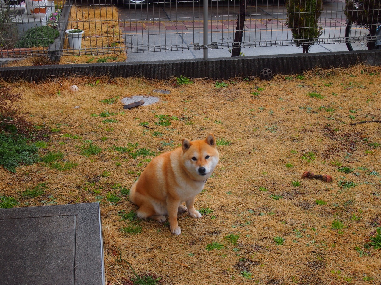 足球联赛赛程调整适应气候变化需求，足球联赛规程